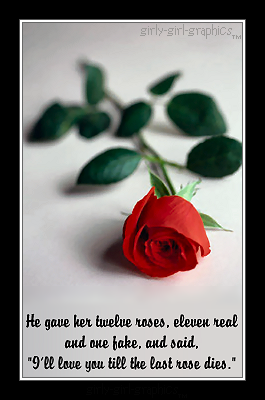 Till Love I Dies You Will Rose The Last Till Love I Dies You Will Rose The Last